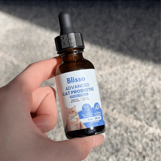 Blisso Advanced Cat Probiotic