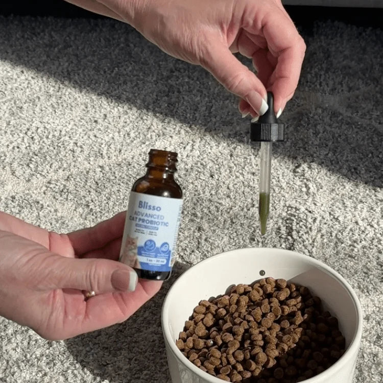 Blisso Advanced Cat Probiotic